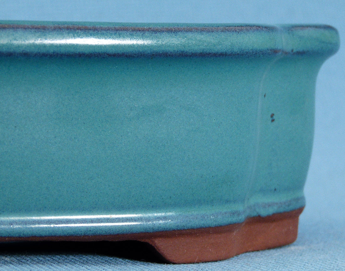 Bonsai Basics Blue Glazed Oval Bonsai Pot - 8"