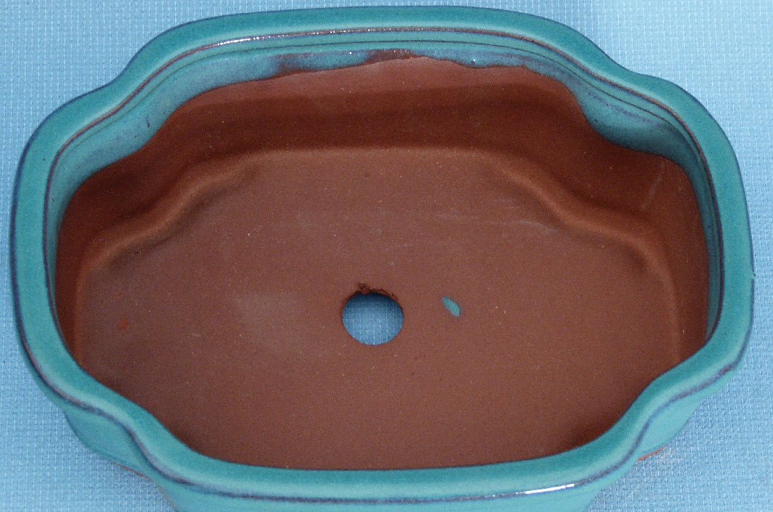 Bonsai Basics Blue Glazed Oval Bonsai Pot - 8"