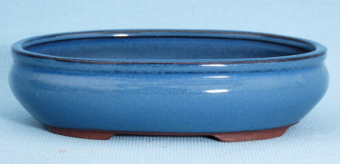 Bonsai Basics Blue Glazed Oval Bonsai Pot - 8"