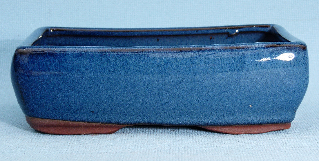 Bonsai Basics Blue Glazed Rectangular Bonsai Pot - 8"