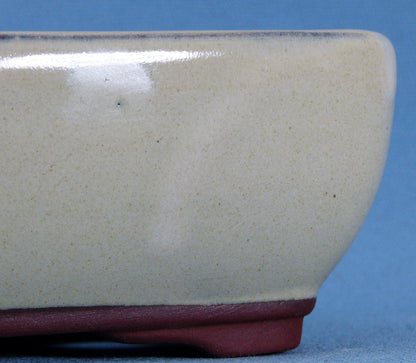 Bonsai Basics Cream Glazed Rectangular Bonsai Pot - 8"