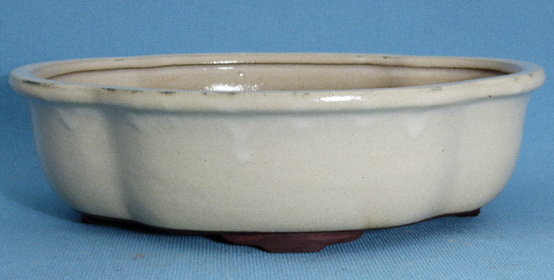 Bonsai Basics Cream Glazed Oval Bonsai Pot - 12"