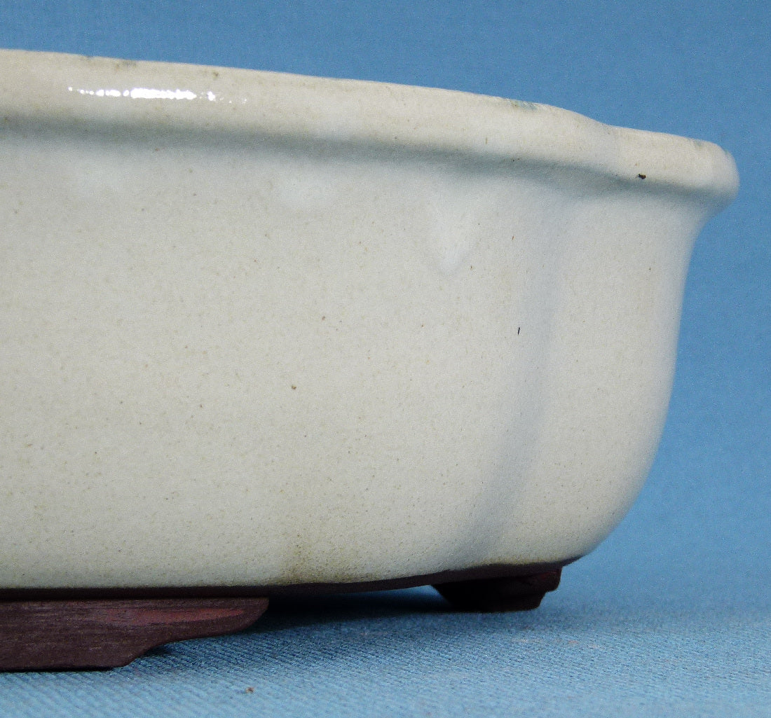 Bonsai Basics Cream Glazed Oval Bonsai Pot - 12"