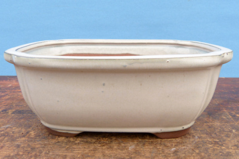 Deep Glazed Oval Bonsai Pot - Cream - 6"