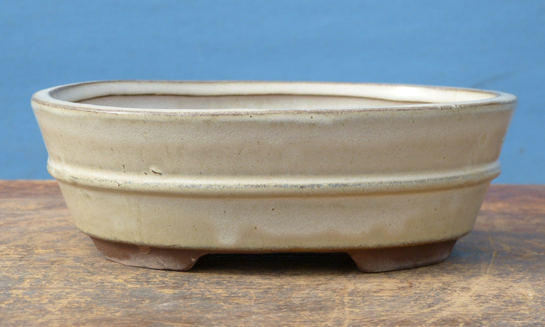Cream Glazed Oval Bonsai Pot - 7"
