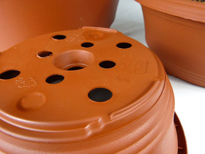 Plastic Pots for Bonsai Nursery Stock