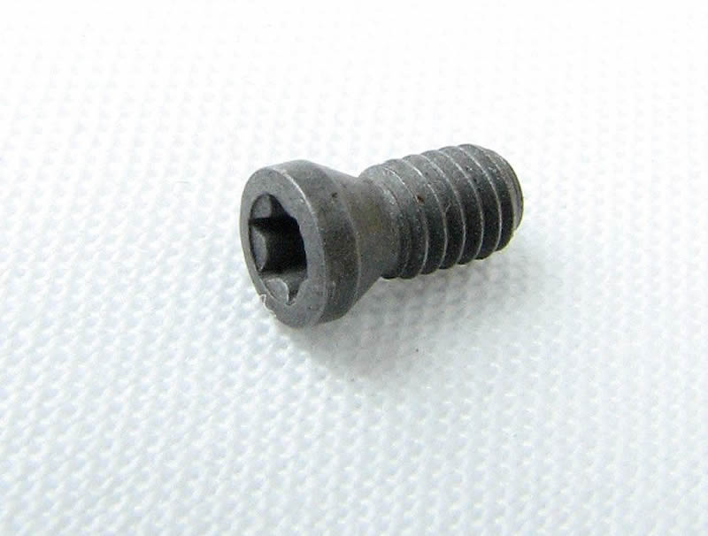 Torx Insert Screw for Terrier Tools