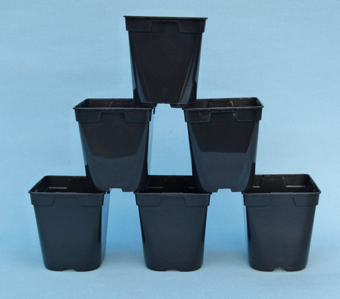 Square Plastic Nursery Pots 1 Litre - Bonsai Starter Pots - 6 x Pack