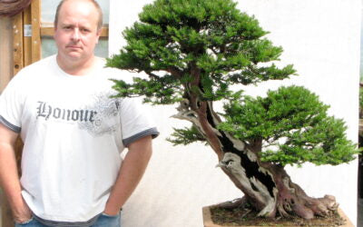 Graham Potter from Kaizen Bonsai standing next to a bonsai tree