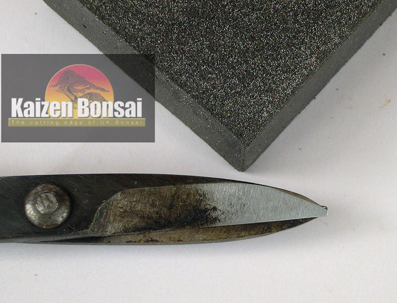 Bonsai Tool Cleaning Block