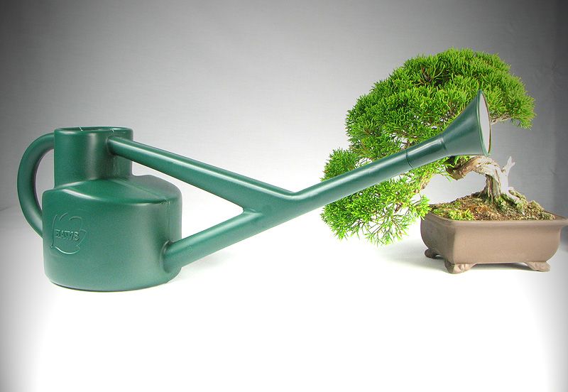 Small Bonsai Watering Can Rose Detail
